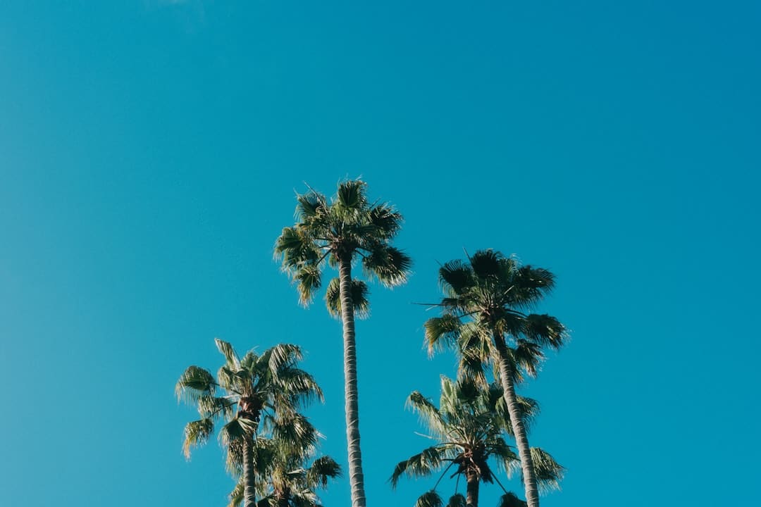 https://static.kpwlw.com/1dbfbde90836a192/3CD4D356CCCF3654D9B60B51BD3753BF.jpg